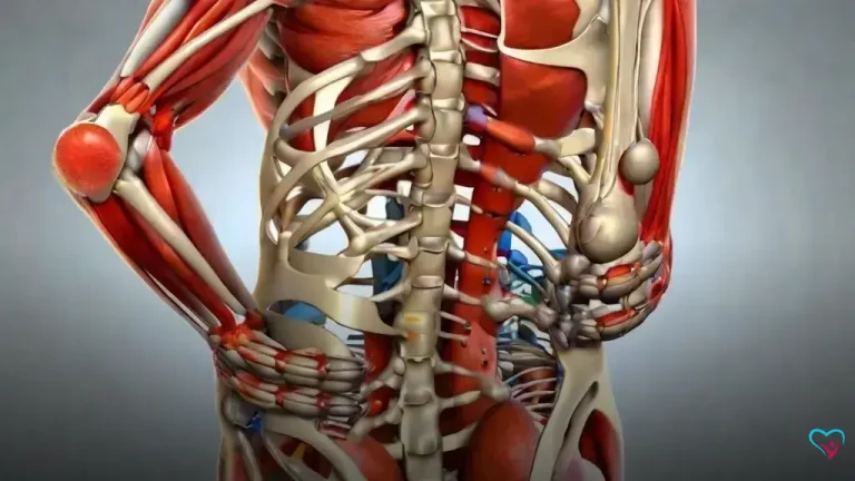 Os Melhores métodos não cirúrgicos para dor lombar